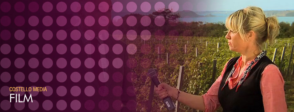 Costello Media Services