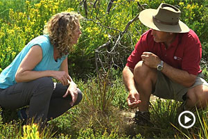 Kate Humble’s Walkabout – Kate Humble and Craig Wickham