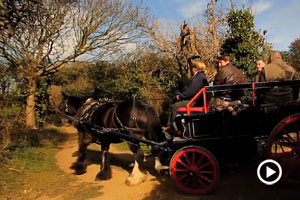 Horse and cart on Sark